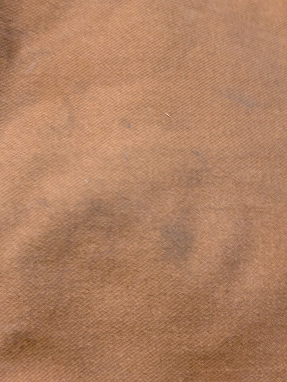 Carhartt Women's Canvas  Bib Overalls - Picture 7 of 10